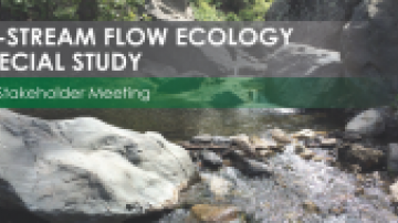 In-stream flow ecology special study